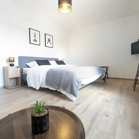 Apartment Le Prestige 152 Proche Aeroport -gare Lyon -groupama Stadium-ldlc Arena Colombier-Saugnieu