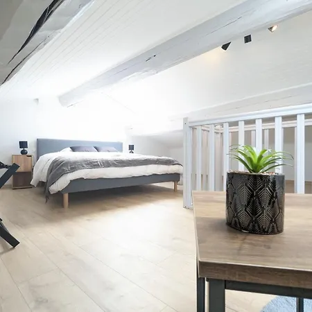Apartment Le Prestige 152 Proche Aeroport -gare Lyon -groupama Stadium-ldlc Arena Colombier-Saugnieu